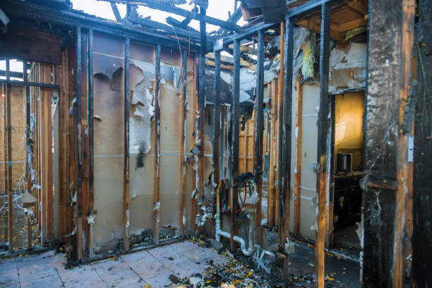 Professional Fire Damage Removal technician working in Bradenton, FL
