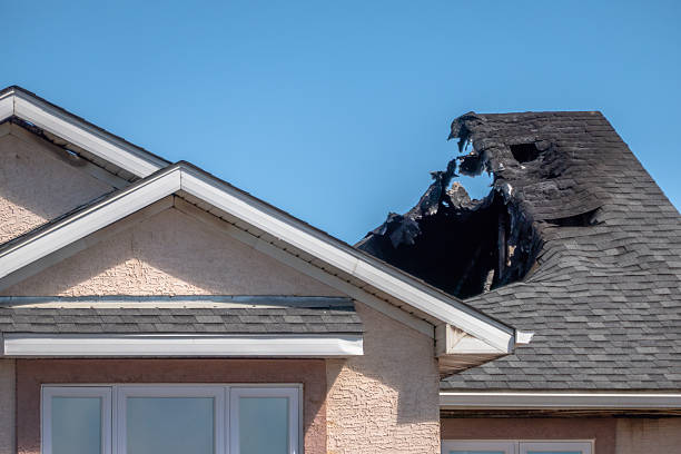 Top rated local Fire Damage Removal specialists in Bradenton, FL